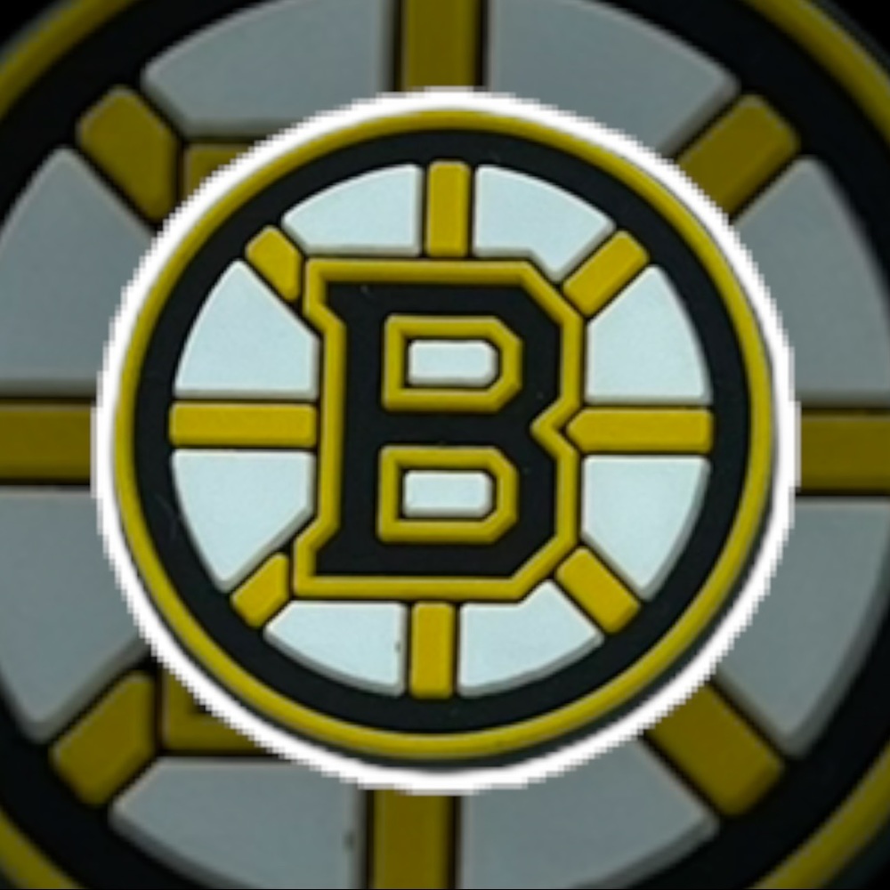 Bruins Jibbitz